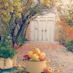 Profile Picture of monir_khorramshahi (@monir_khorramshahi2) on Instagram