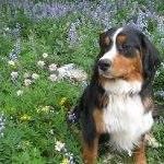 Profile Picture of Ben Bowker (@ben.bowker.5) on Instagram