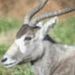 Profile Picture of Kyle Gingerich (@2022kgingerich) on Pinterest