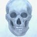 Profile Picture of Peter Papadakis (@peterjpapadakis) on Pinterest