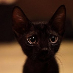 Profile Picture of Ben Ryan (@benjamin.ryan.lee) on Flickr