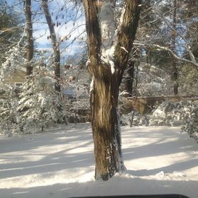 Profile Picture of Janet Pickover (@jpickover) on Pinterest