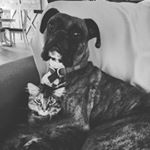 Profile Picture of James Ohrmund (@james14ohrmund) on Instagram