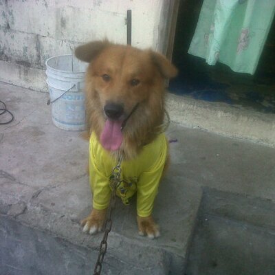 Profile Picture of Alejandro Piñon (@AlejandroPion3) on Twitter