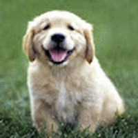 Profile Picture of James Ashburn (@james-ashburn-11) on Quora