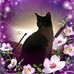 Profile Picture of Sarah Markley (@sarah.markley.94) on Facebook