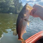 Profile Picture of Mark Hammock (@hammock515) on Instagram