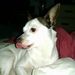 Profile Picture of Stephen Stewart (@stewart7301) on Pinterest