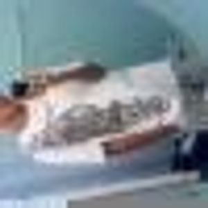 Profile Picture of Jonathan Caraballo (@217908611) on Myspace