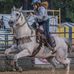 Profile Picture of Joe Kilgore (@joe.kilgore.372) on Facebook