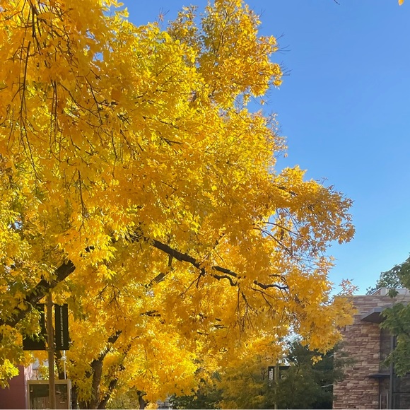 Profile Picture of Keana Gulnac (@kkeanamm) on Poshmark