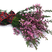 Profile Picture of Heather Hansen (@heatherhansen1973) on Youtube