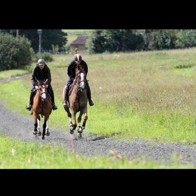 Profile Picture of Nick Haslam (@haslamracing) on Twitter