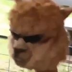 Profile Picture of Evan Reichert (@theredestboi829) on Instagram