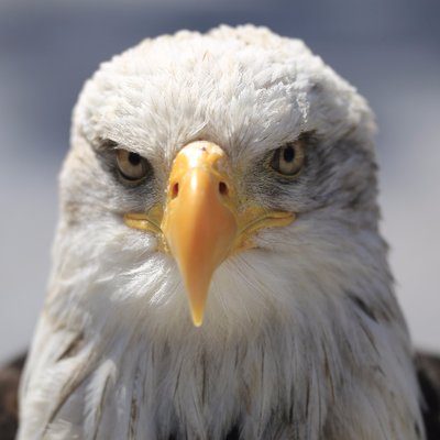 Mike Riehm - Twitter Profile Picture of Mike Riehm (@RiehmMike) on Twitter