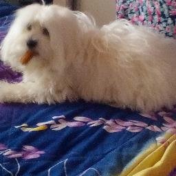 Ria James - Twitter Profile Picture of Ria James (@riajames113) on Twitter