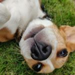 Profile Picture of Matthew (@matthewahlers24) on Instagram