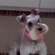 Profile Picture of Ben Wheeler (@benwheeler) on Pinterest