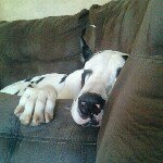 Profile Picture of justine spero (@justinespero) on Instagram