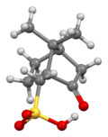 Profile Picture of Camphorsulfonic acidon Wikipedia