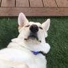 Profile Picture of Cassandrasmiles (@@cassandrasmiles) on Tiktok