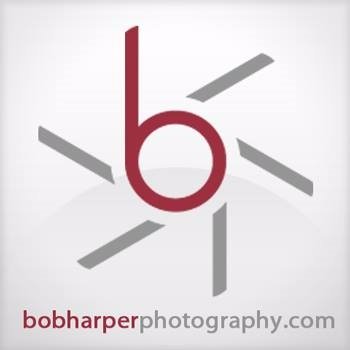 Profile Picture of Bob Harper (@bobharperart) on Twitter