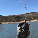 Profile Picture of Grant Perkins (@6_liter_prius_eaterr) on Instagram
