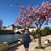 Profile Picture of Shirley Chow (@shirley.chow.3150) on Facebook