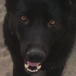 Profile Picture of malcolm_marshall_ (@malcolm_marshall_) on Instagram