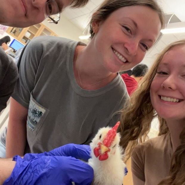 Profile Picture of carl (@carliestochl) on Tiktok