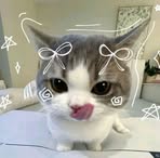 Profile Picture of Prince Earl Claro (@Prince-Earl-Claro) on Facebook