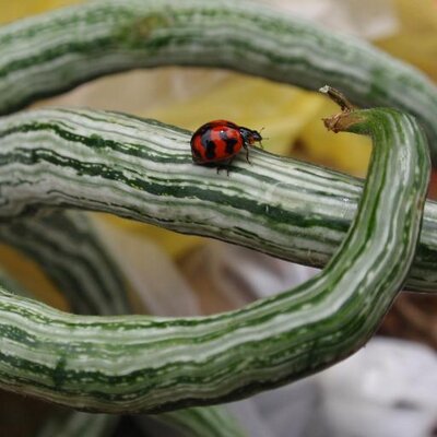 Profile Picture of Susanne Page (@EnviroPage) on Twitter