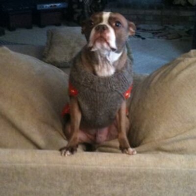 Profile Picture of Scott Cheatham (@cheatham5023) on Twitter