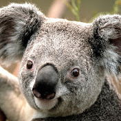 Profile Picture of Bartosz Rozy (@bartoszrozy9765) on Youtube