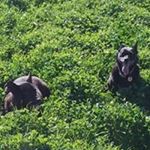 Profile Picture of Geoff Hicks (@flexabill) on Instagram