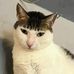 Profile Picture of Theodore Fuller (@theodore.fuller.39395) on Facebook