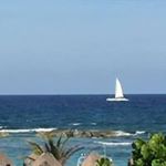 Profile Picture of David Reichert (@psipayroll) on Instagram