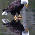 Profile Picture of John Leddon (@johnleddon) on Instagram