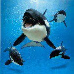 Profile Picture of michael.helfrich.1970 (@michael.helfrich.1970) on Instagram