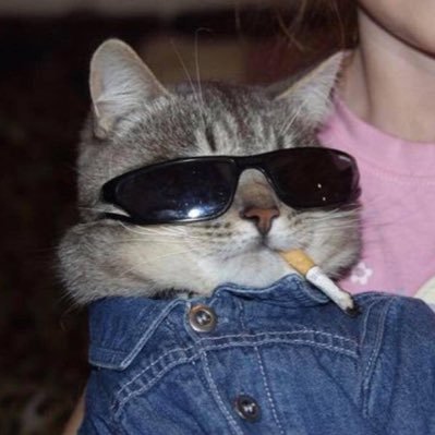 Profile Picture of Jennafunderburk (@jennafunderburk) on Twitter