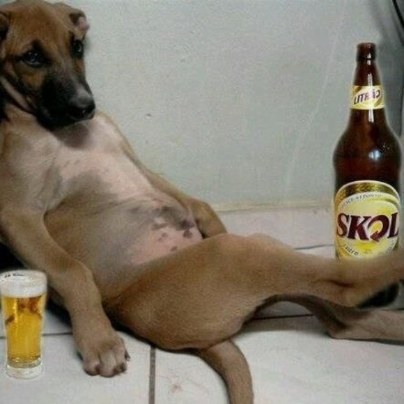 Nicholas Verdi - Poshmark Profile Picture of Nicholas Verdi (@verdi678) on Poshmark