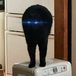 Profile Picture of Alexander Garcia (@lil_homo69) on Myspace