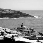 Profile Picture of Jodi Joy (@jodi.joy) on Instagram