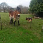 Profile Picture of Levis Scotty Claud (@Levis-Scotty-Claud) on Facebook