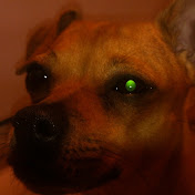 Profile Picture of Alexandra Freeman (@alexandrafreeman5749) on Youtube