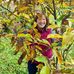 Profile Picture of Rebecca Lin Raffelsberger (@r.raffelsberger) on Facebook