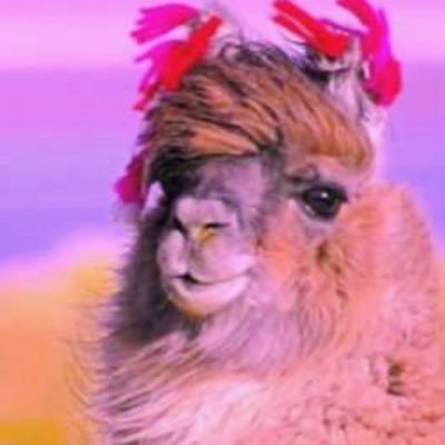 Profile Picture of Emily Lodes (@Vxcsisz) on Twitter