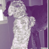 Sherry Tripp - Quora Profile Picture of Sherry Tripp (@sherry-tripp-2) on Quora