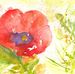 Profile Picture of Anne Pipkin Willig (@annepipkin.willig) on Facebook