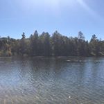 Curtis Dooley - Instagram Profile Picture of Curtis Dooley (@curtisd_87) on Instagram